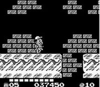 une photo d'Ã©cran de Adventure Island 2 - Aliens in Paradise sur Nintendo Game Boy